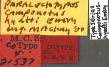 Media type: image;   Entomology 21537 Aspect: labels